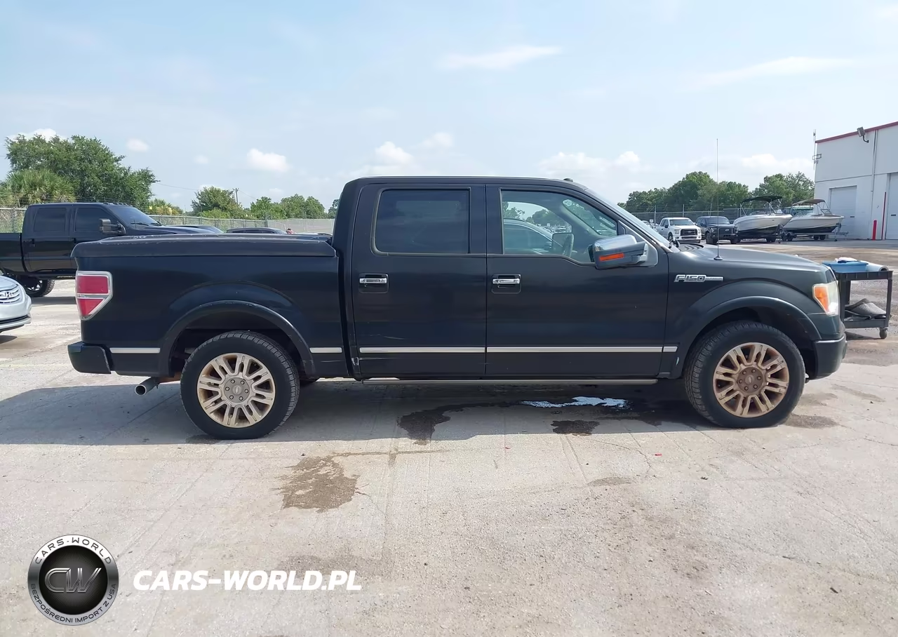 2009 Ford F-150 King Ranch-Lariat-Platinum-Xl-Xlt VIN:1FTPW12V49FA68453 - 13