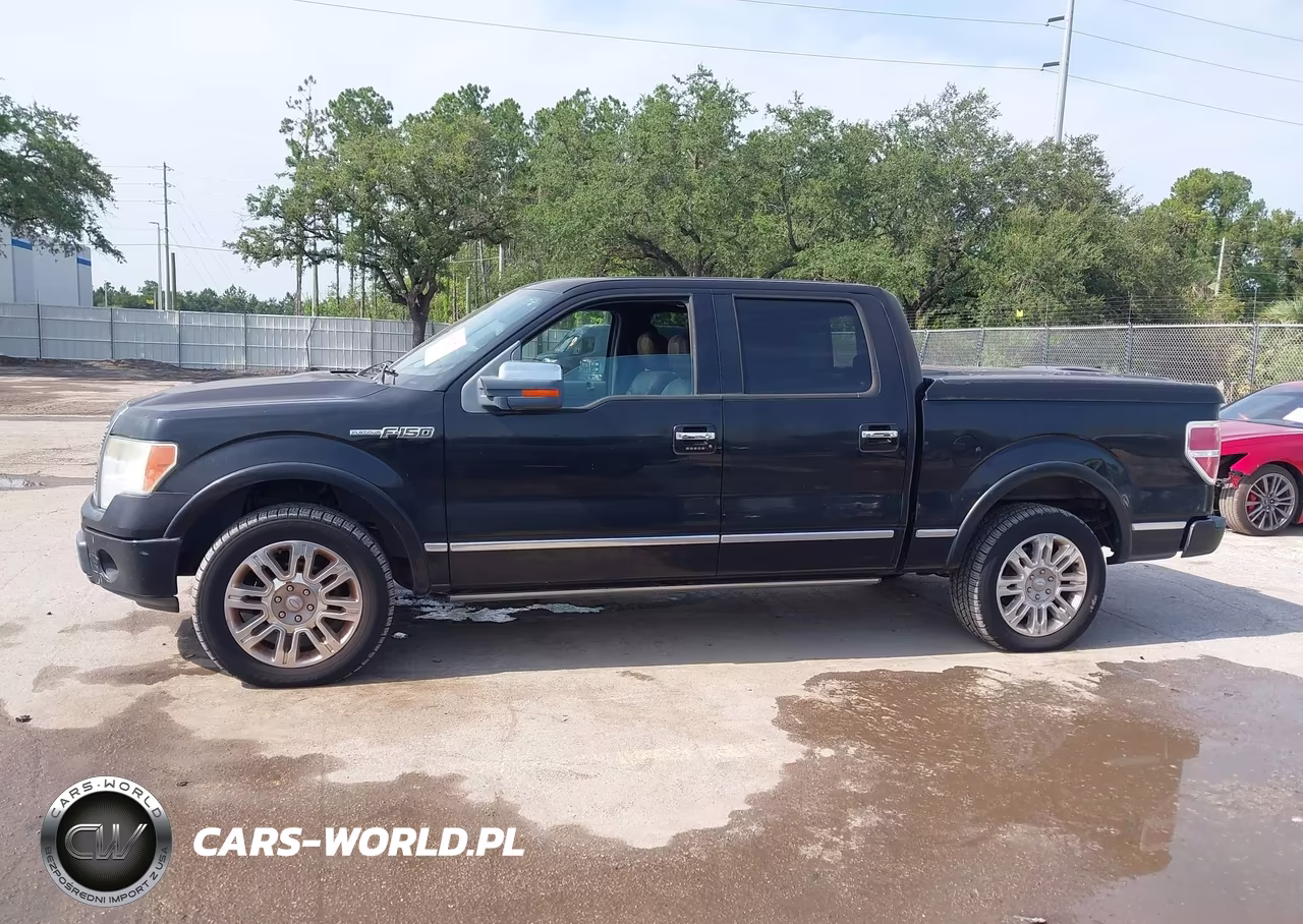 2009 Ford F-150 King Ranch-Lariat-Platinum-Xl-Xlt VIN:1FTPW12V49FA68453 - 14