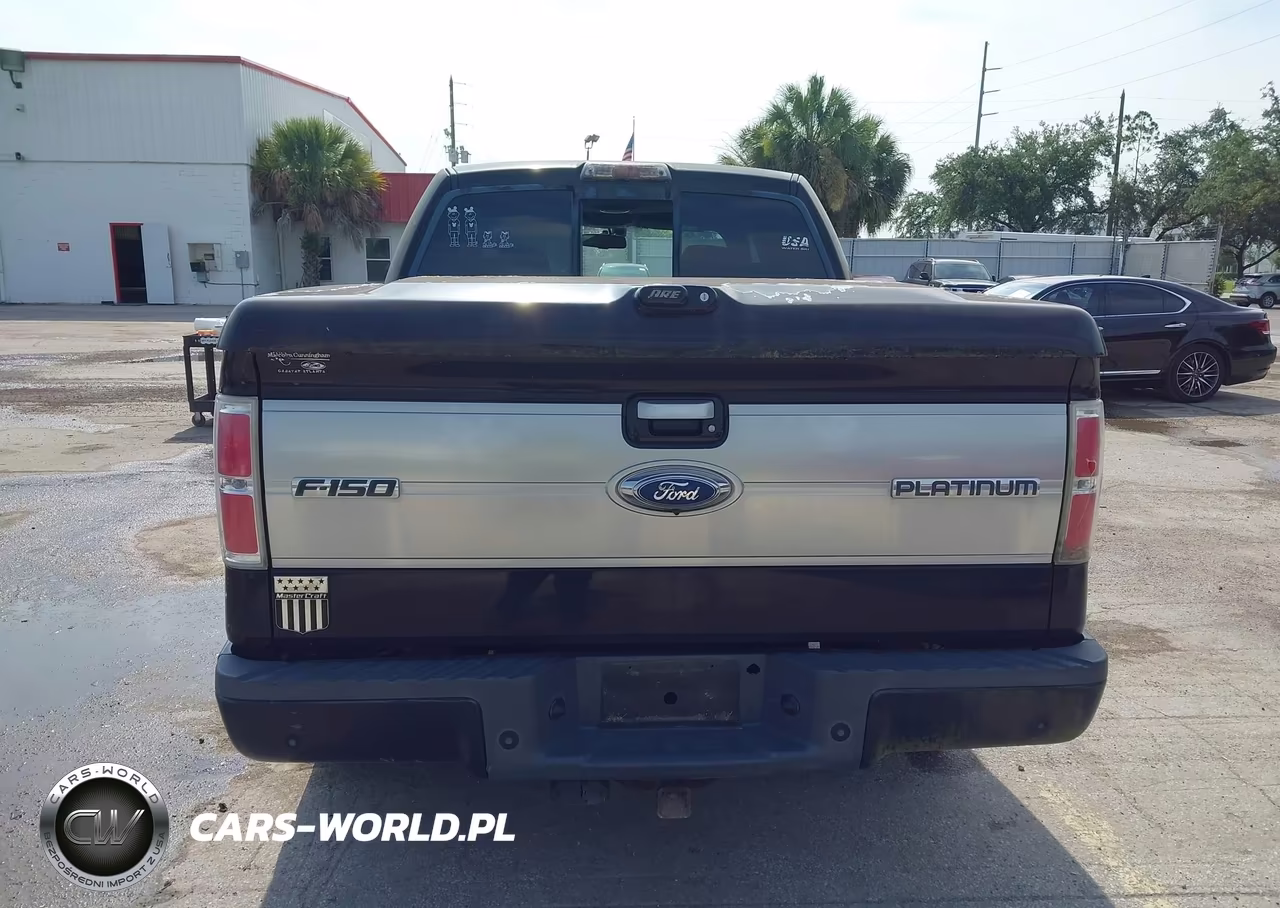 2009 Ford F-150 King Ranch-Lariat-Platinum-Xl-Xlt VIN:1FTPW12V49FA68453 - 16
