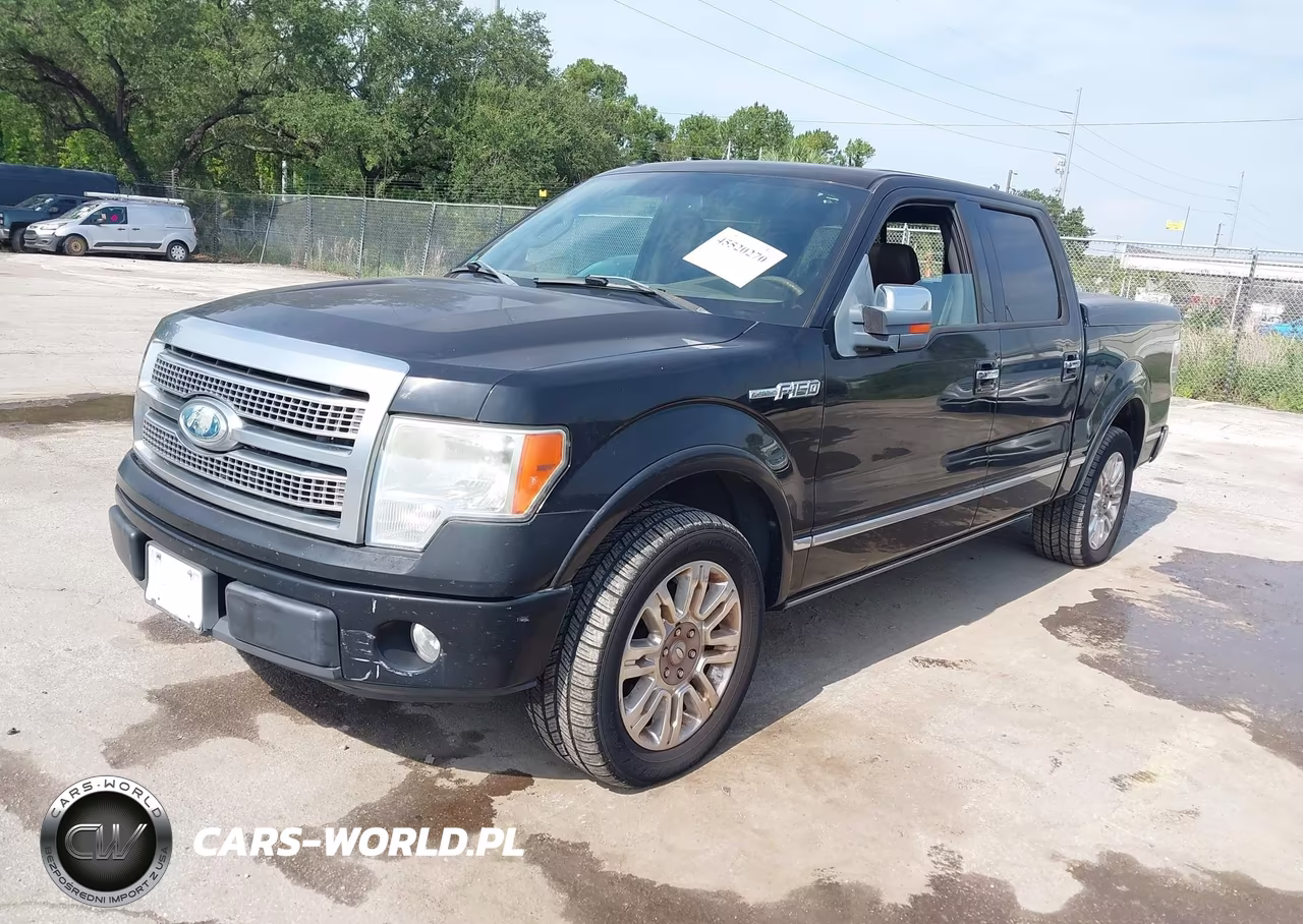 2009 Ford F-150 King Ranch-Lariat-Platinum-Xl-Xlt VIN:1FTPW12V49FA68453 - 2