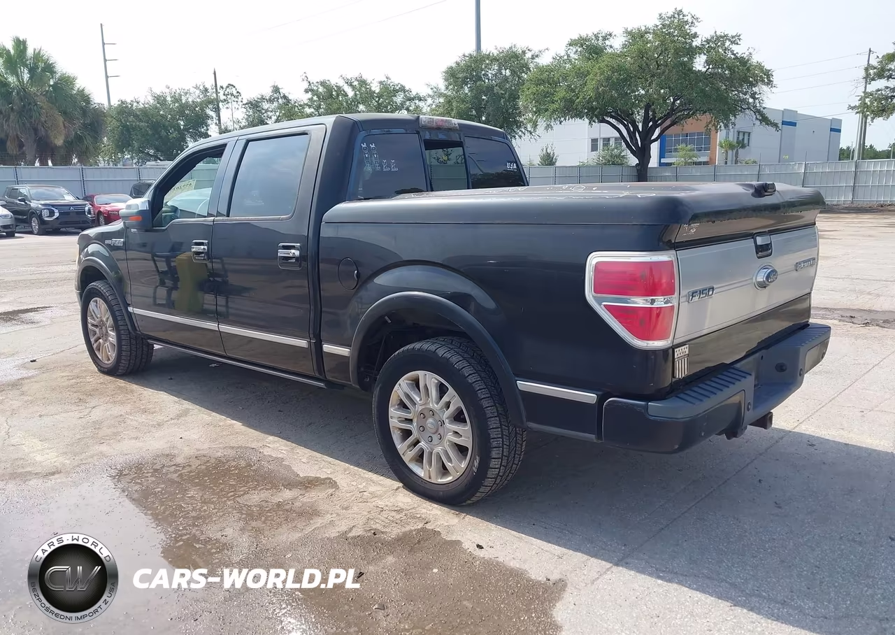2009 Ford F-150 King Ranch-Lariat-Platinum-Xl-Xlt VIN:1FTPW12V49FA68453 - 3