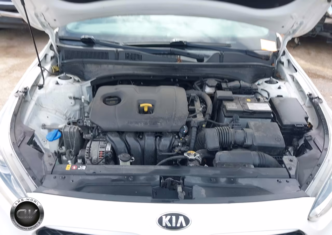 2019 Kia Forte Fe VIN:3KPF24ADXKE107130 - 10