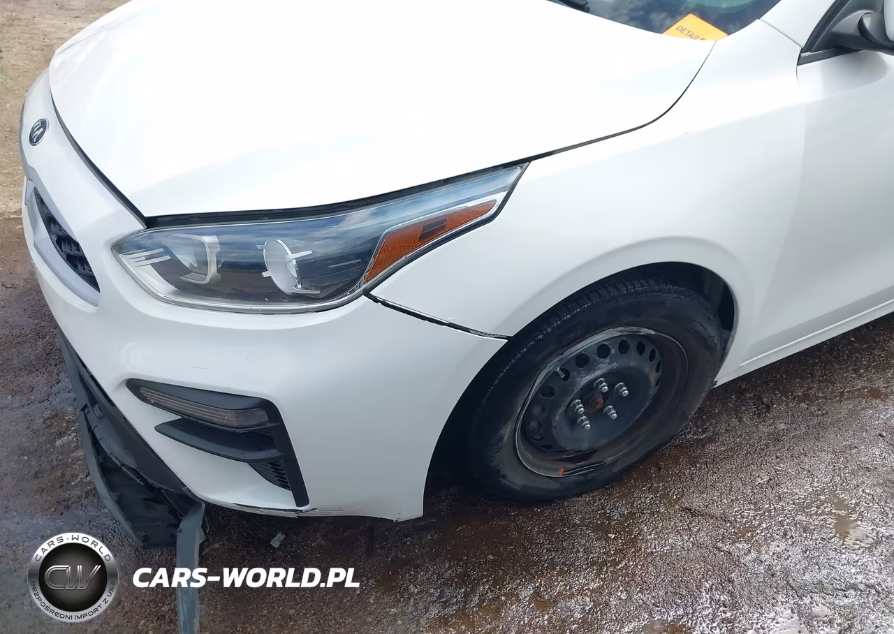 2019 Kia Forte Fe VIN:3KPF24ADXKE107130 - 6
