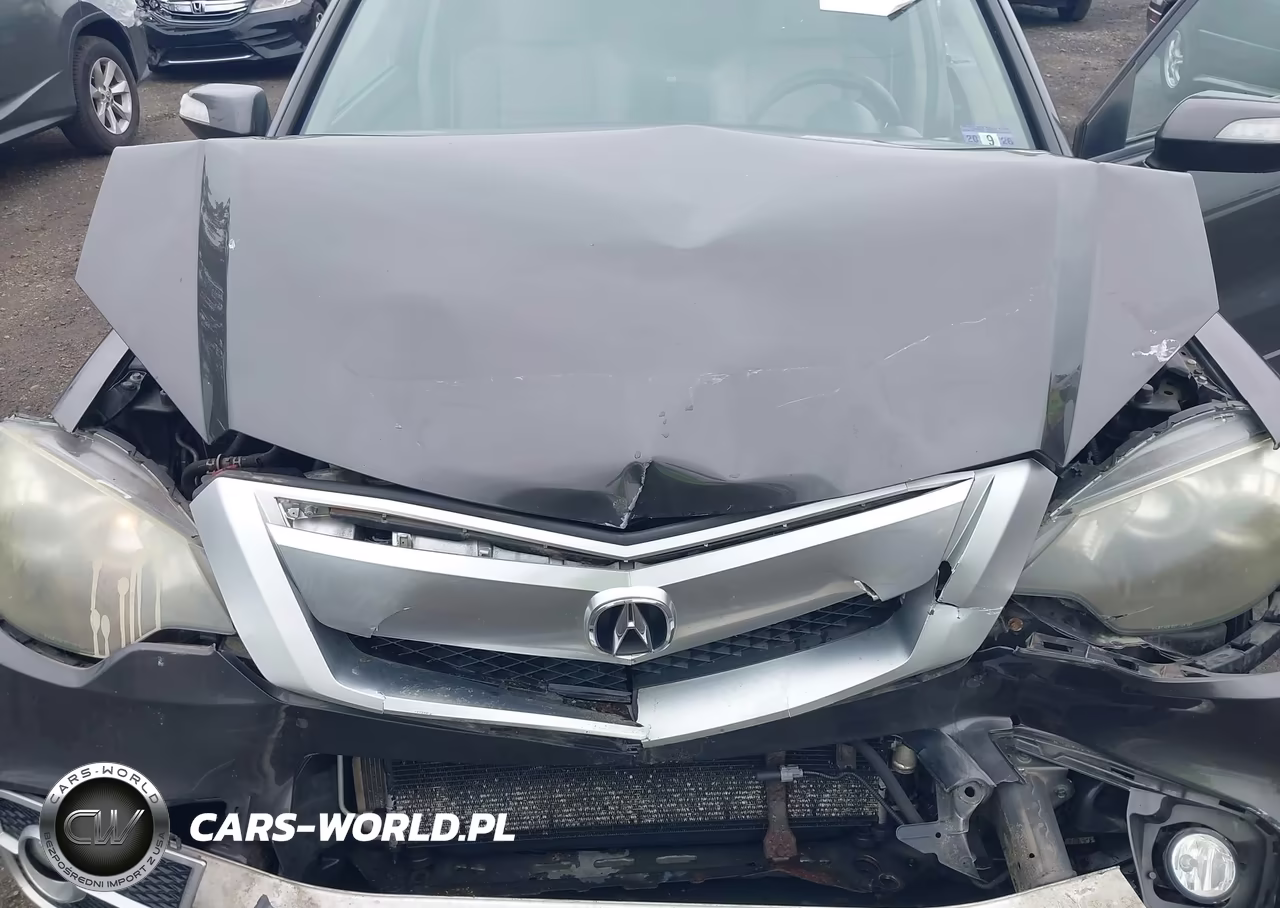 2010 Acura Rdx VIN:5J8TB1H20AA000385 - 10