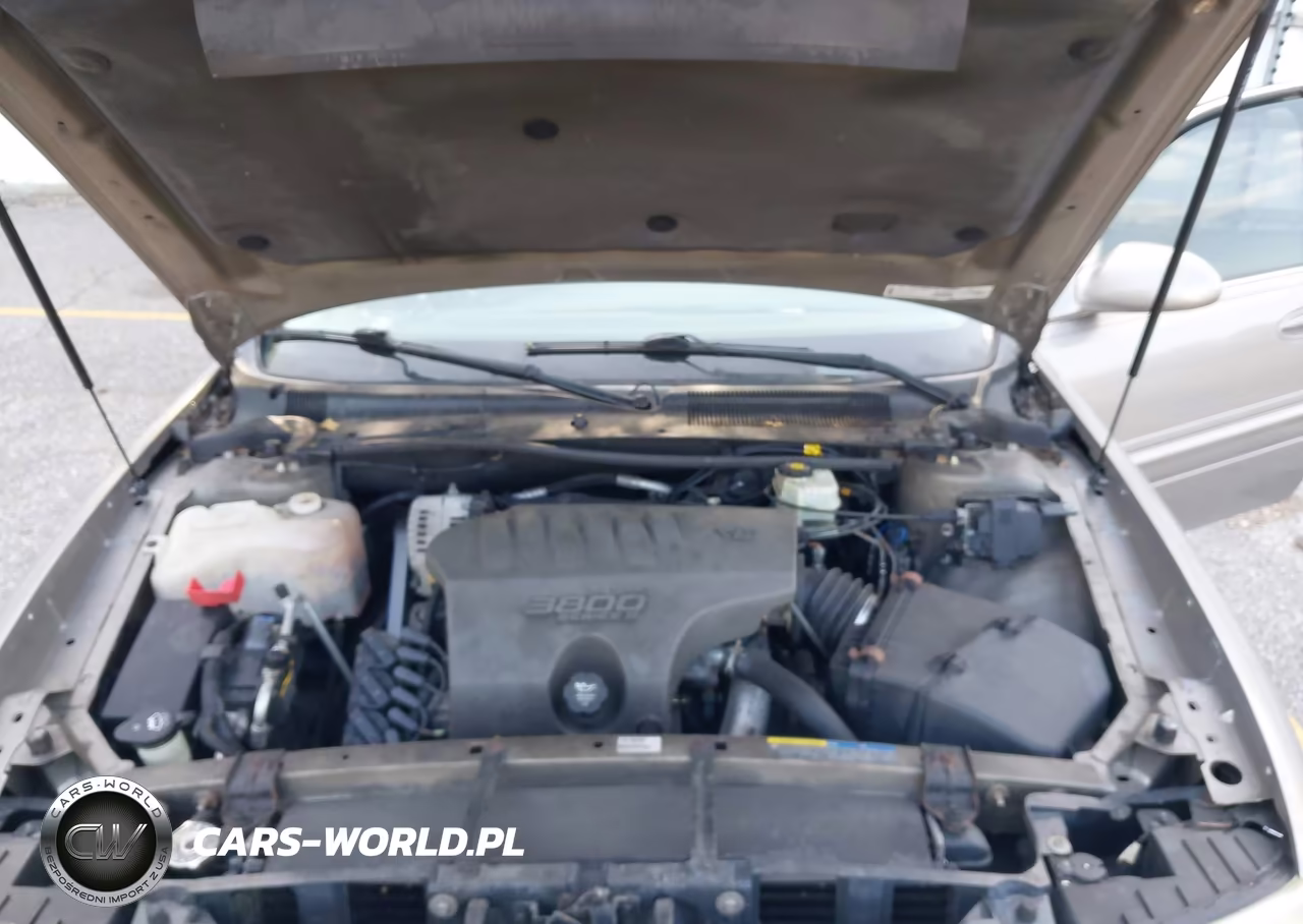 2003 Buick Lesabre Custom VIN:1G4HP52K43U138482 - 10