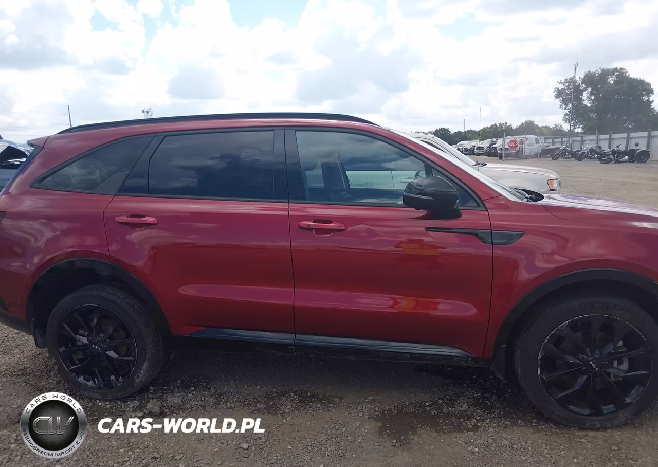 2023 Kia Sorento Sx Prestige VIN:5XYRKDLF7PG238330 - 13
