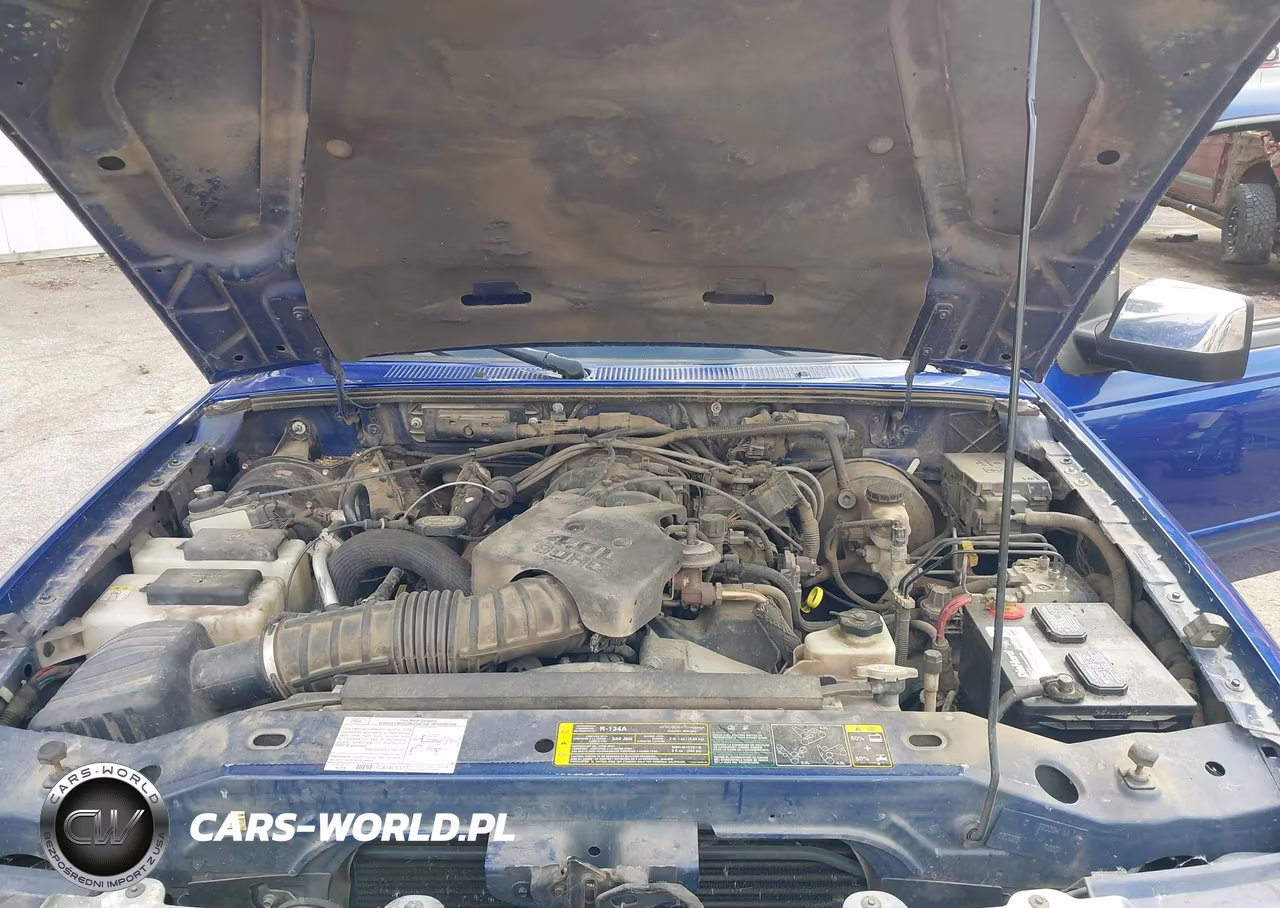 2006 Ford Ranger Fx4 Level Ii-Fx4 Off-Road-Sport-Xlt VIN:1FTZR45E76PA07049 - 10