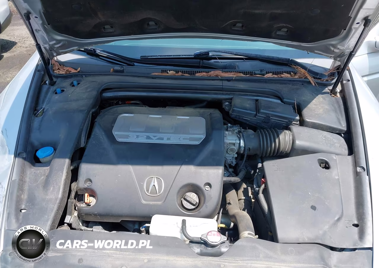 2008 Acura Tl 3.2 VIN:19UUA662X8A008513 - 10