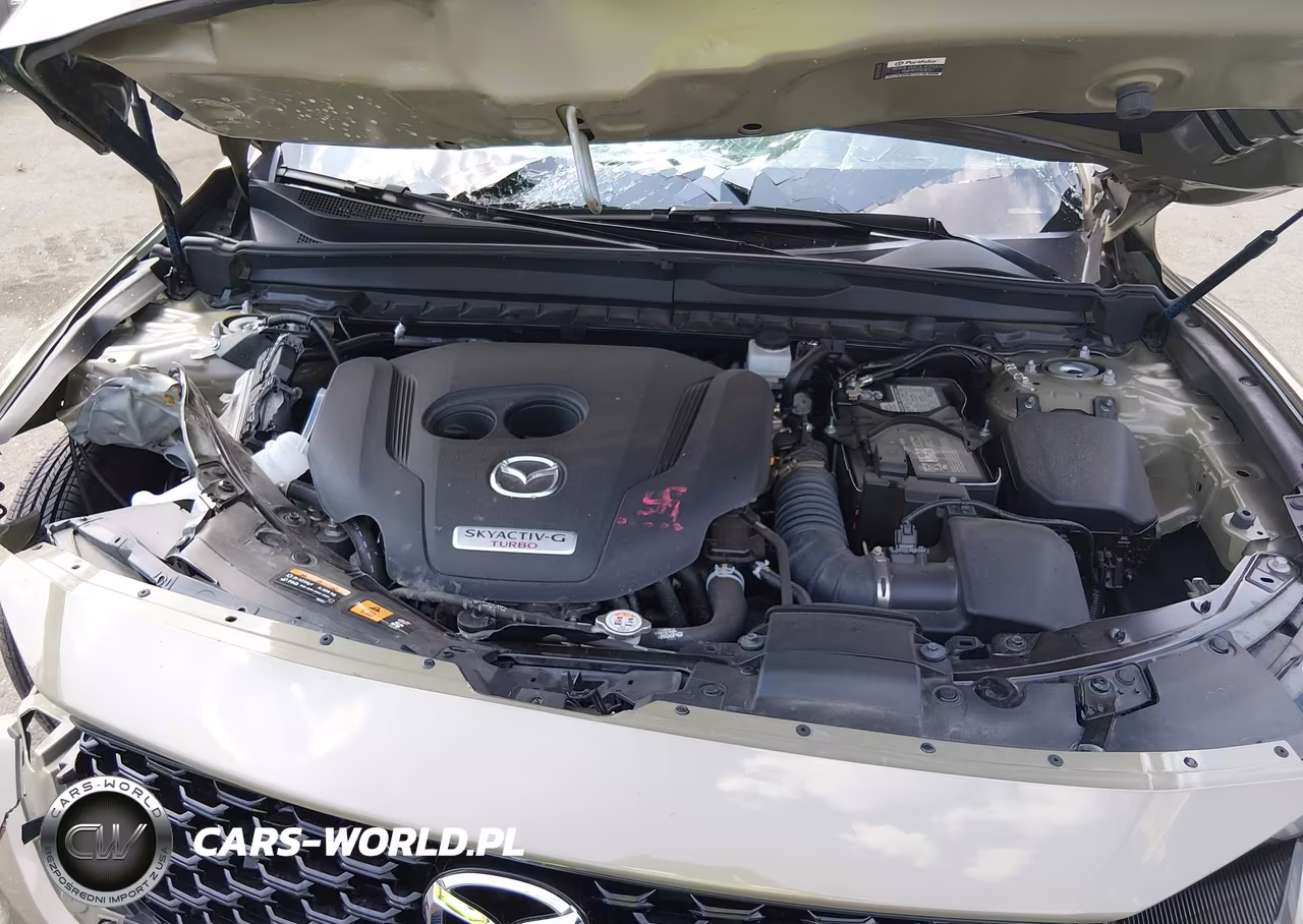 2025 Mazda Cx-50 2.5 Turbo Premium Plus Package VIN:7MMVABEY1SN349820 - 10