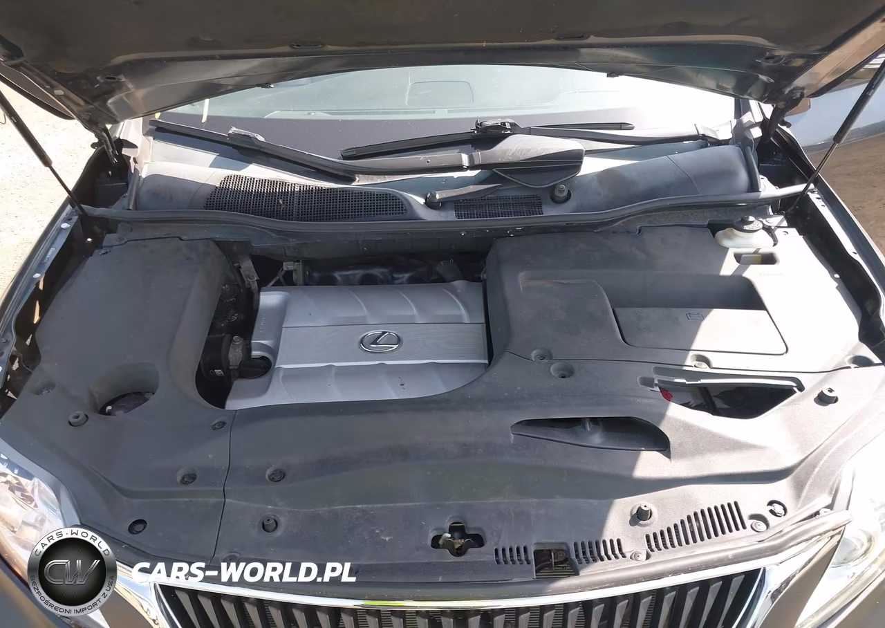 2010 Lexus Rx 350 VIN:2T2BK1BA6AC028287 - 10