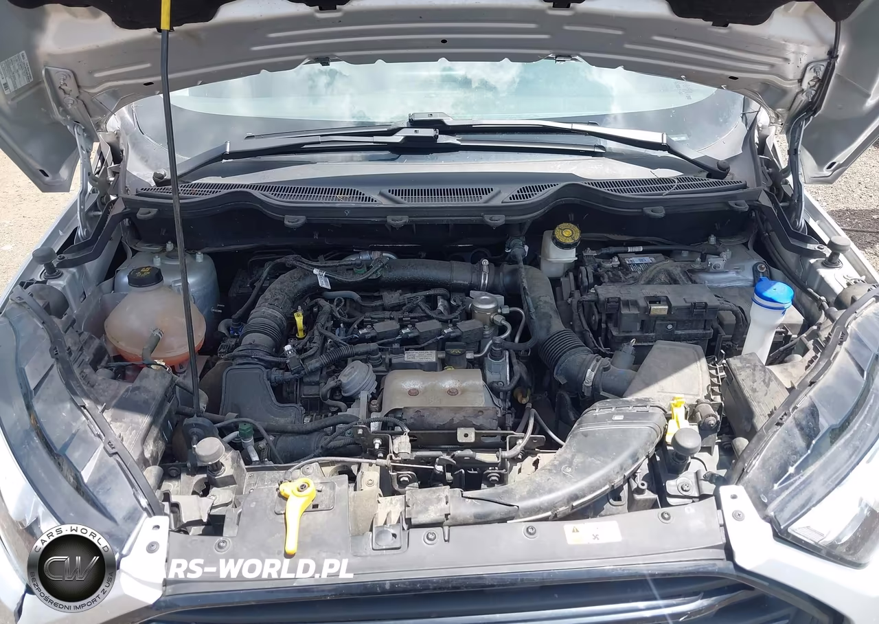 2021 Ford Ecosport S VIN:MAJ3S2FE5MC441879 - 10