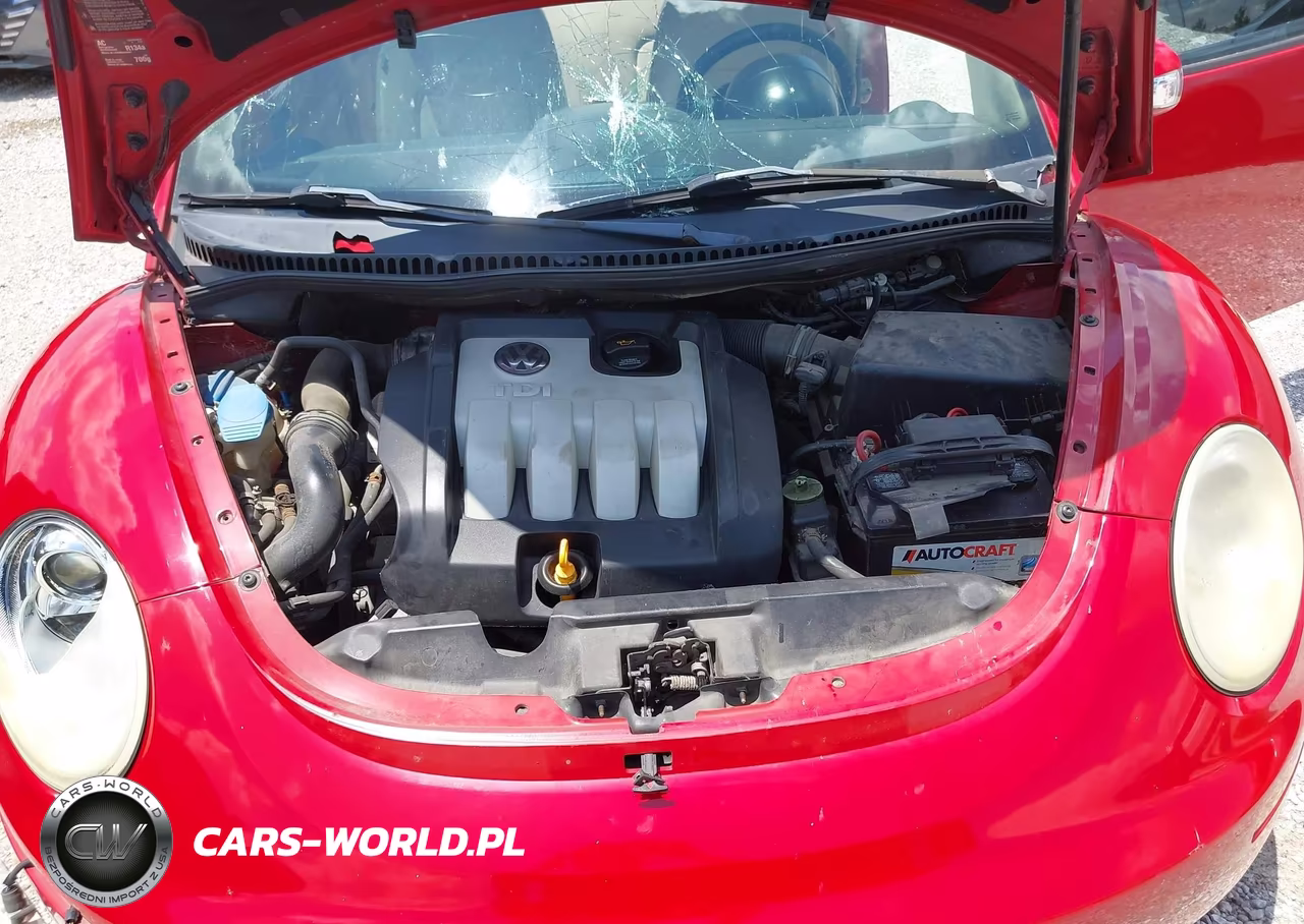 2006 Volkswagen New Beetle Tdi VIN:3VWRR31C76M406450 - 10