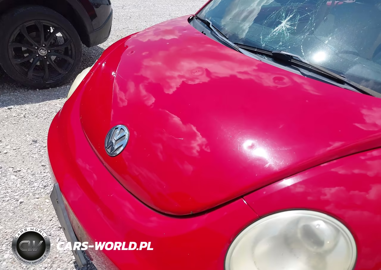 2006 Volkswagen New Beetle Tdi VIN:3VWRR31C76M406450 - 6