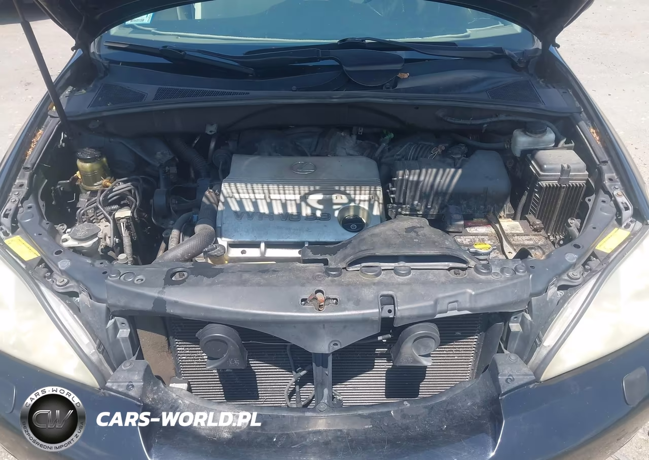 2005 Lexus Rx 330 VIN:2T2HA31U15C046125 - 10