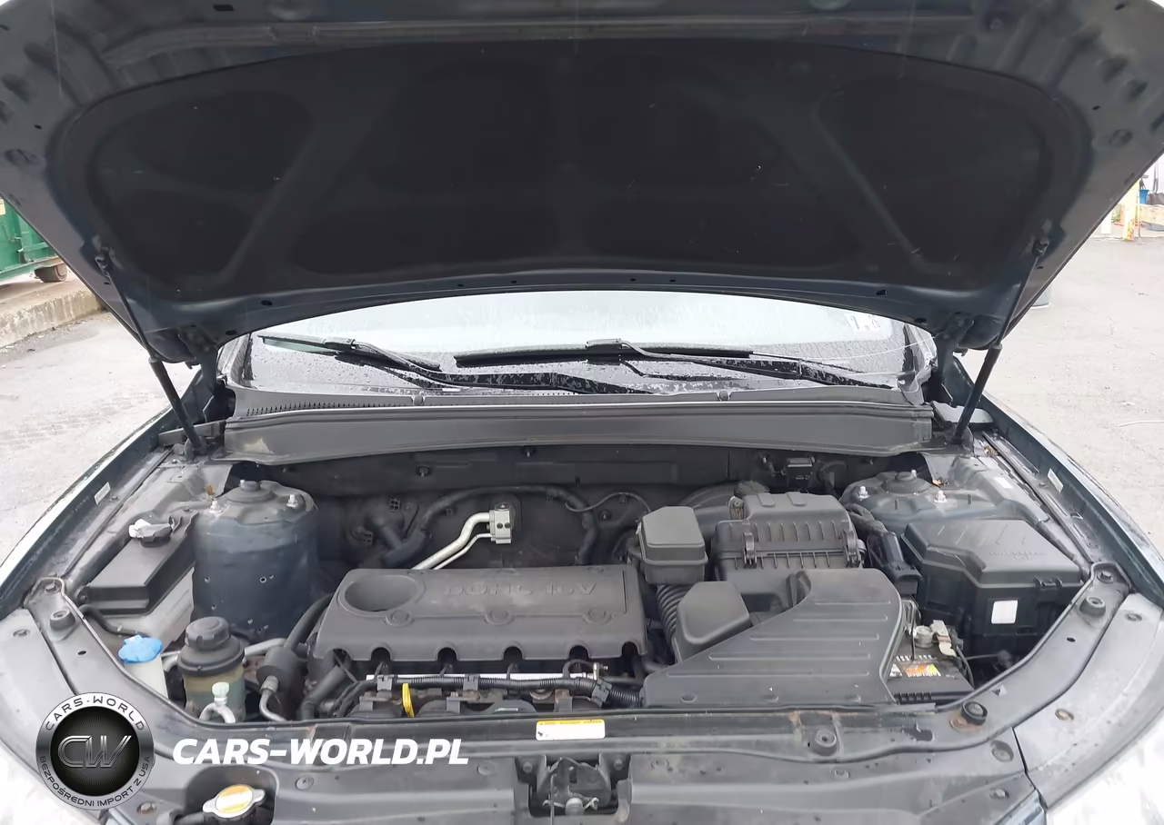 2010 Hyundai Santa Fe Gls VIN:5NMSG3AB7AH381823 - 10