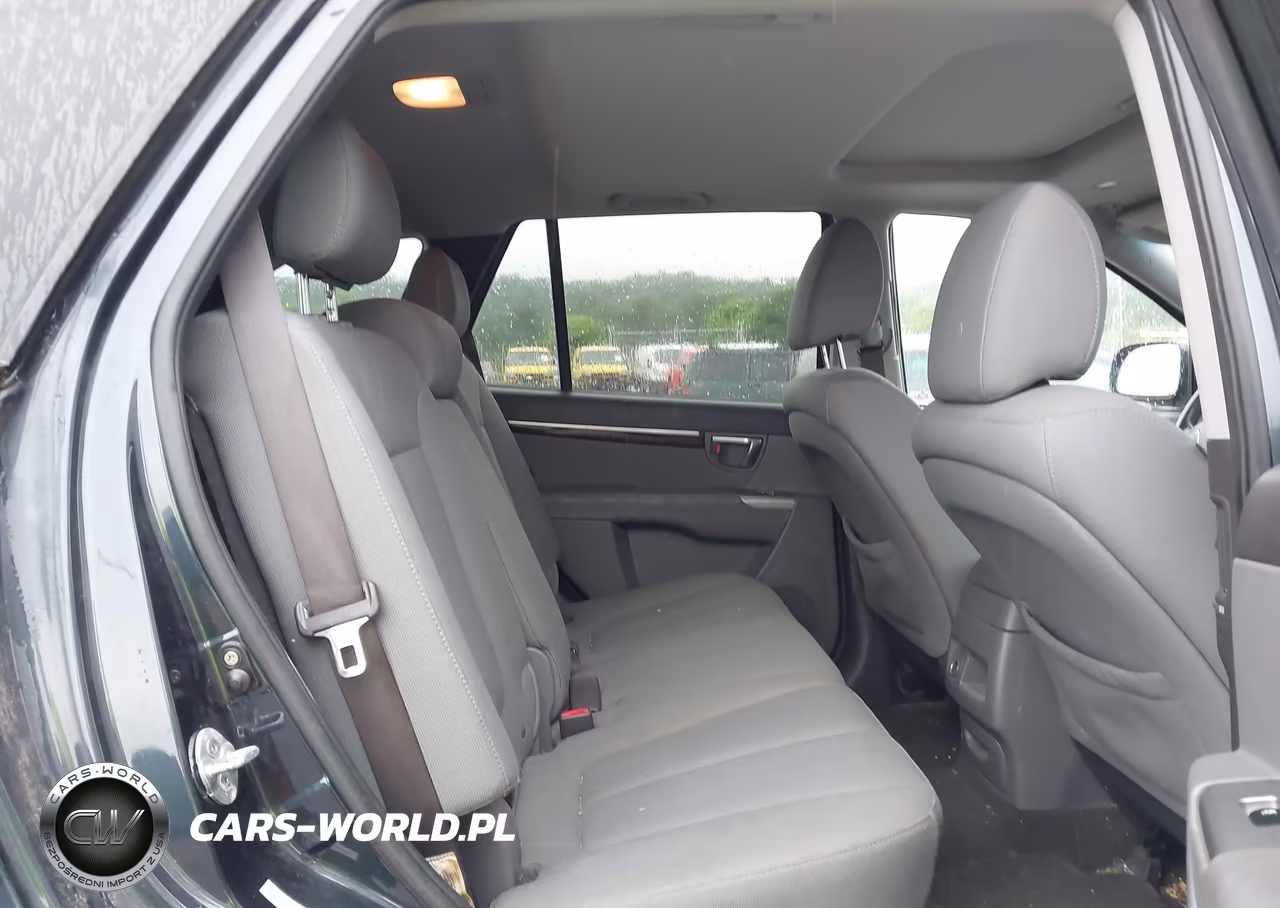 2010 Hyundai Santa Fe Gls VIN:5NMSG3AB7AH381823 - 8