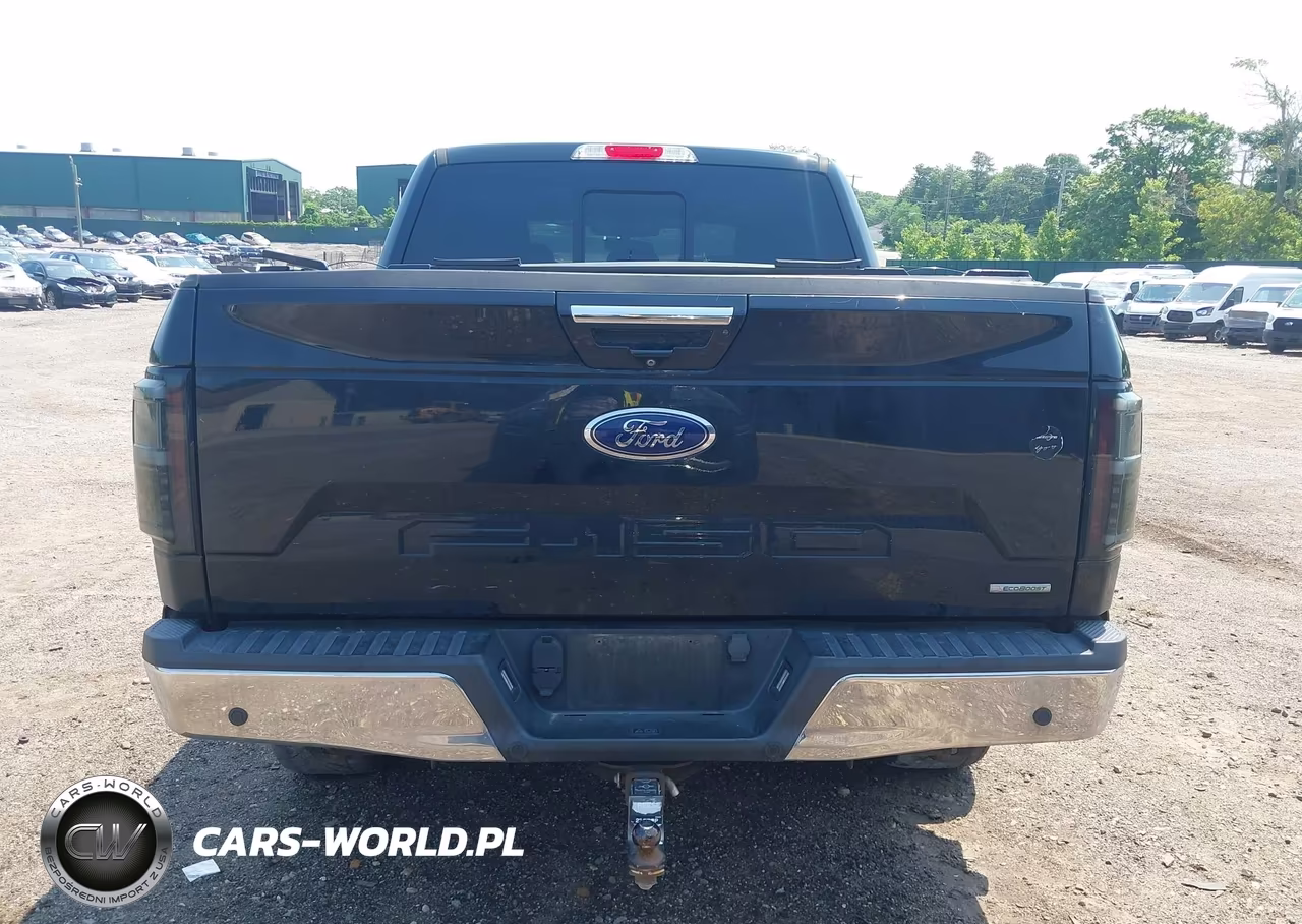 2018 Ford F-150 King Ranch-Lariat-Limited-Platinum-Xl-Xlt VIN:1FTEW1EG9JFC37455 - 17