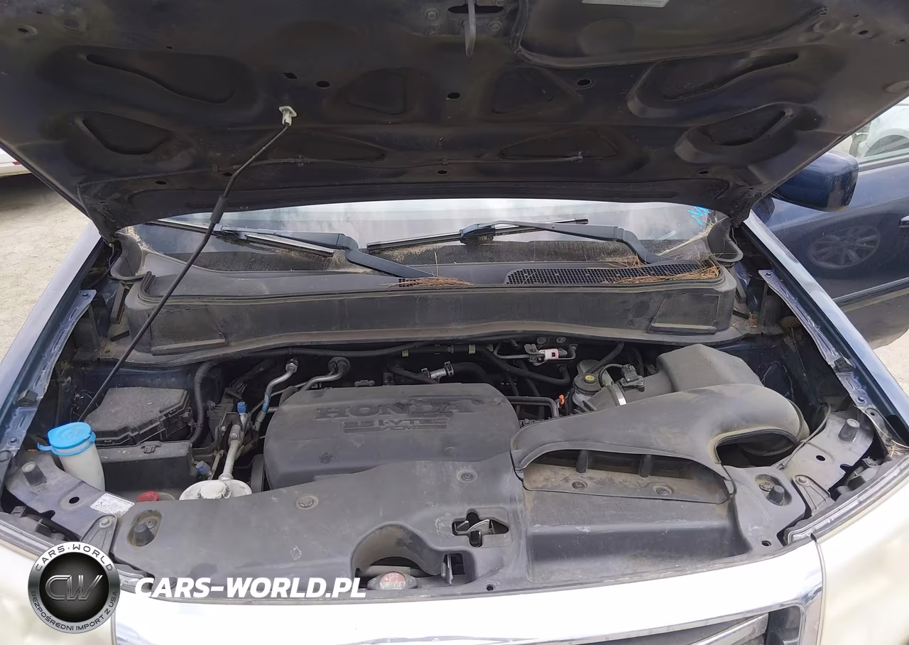 2014 Honda Pilot Exl VIN:5FNYF3H51EB013819 - 10