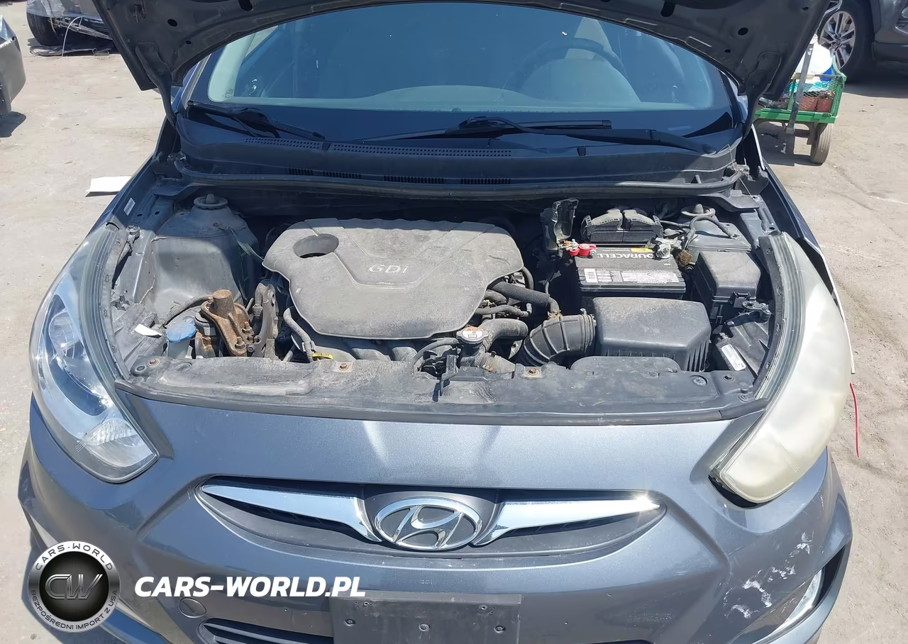 2013 Hyundai Accent Se VIN:KMHCU5AE9DU067389 - 10