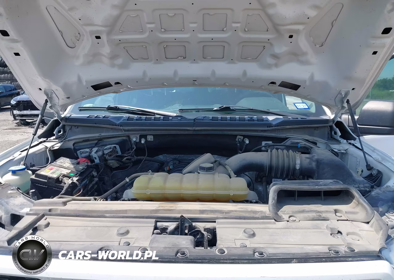 2019 Ford F-150 Xl VIN:1FTEW1E55KKD49967 - 10