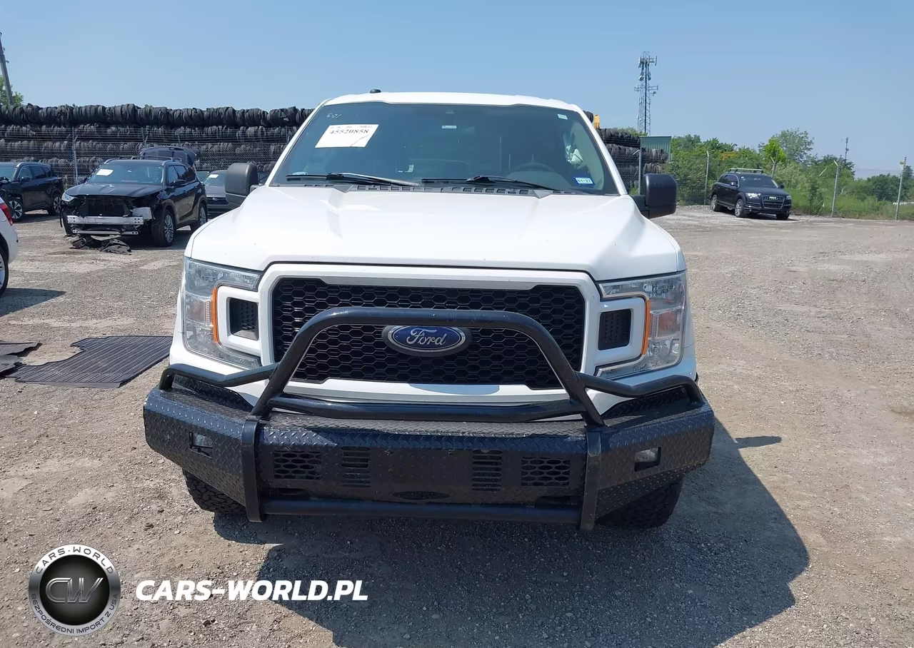 2019 Ford F-150 Xl VIN:1FTEW1E55KKD49967 - 12