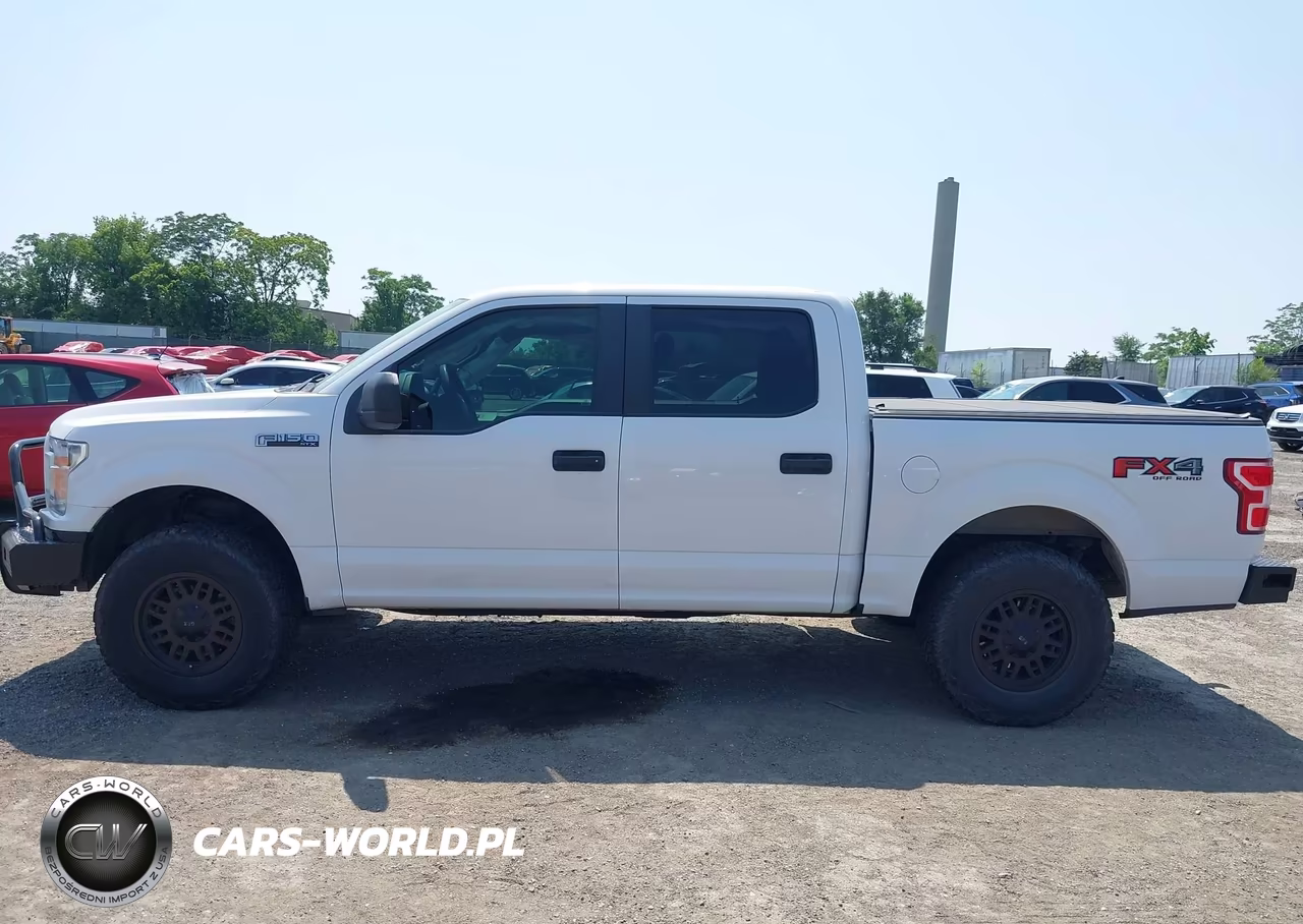 2019 Ford F-150 Xl VIN:1FTEW1E55KKD49967 - 14