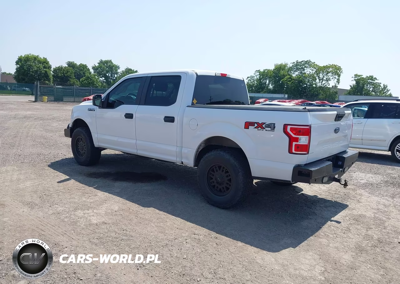 2019 Ford F-150 Xl VIN:1FTEW1E55KKD49967 - 3