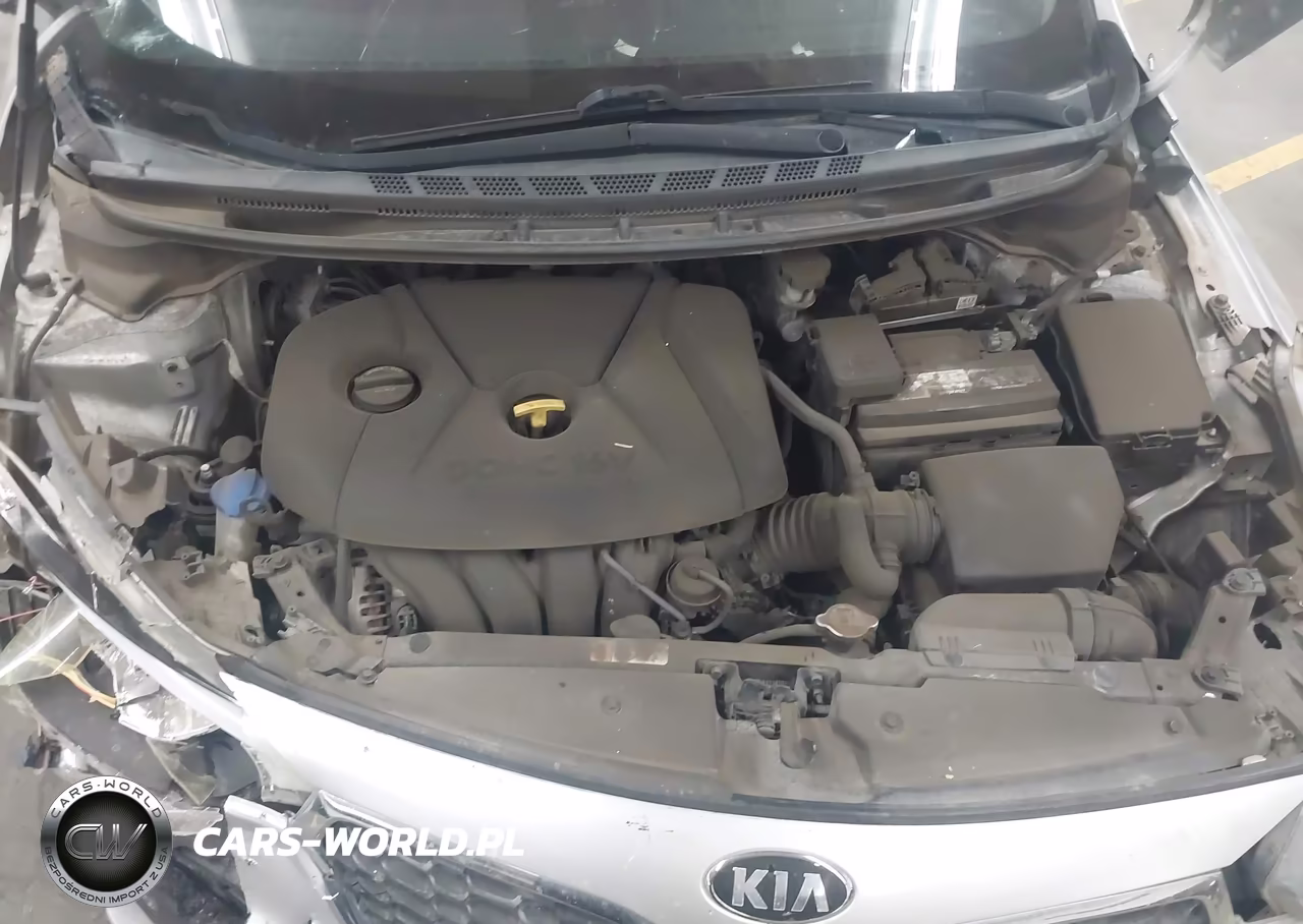 2015 Kia Forte Lx VIN:KNAFK4A65F5425785 - 10