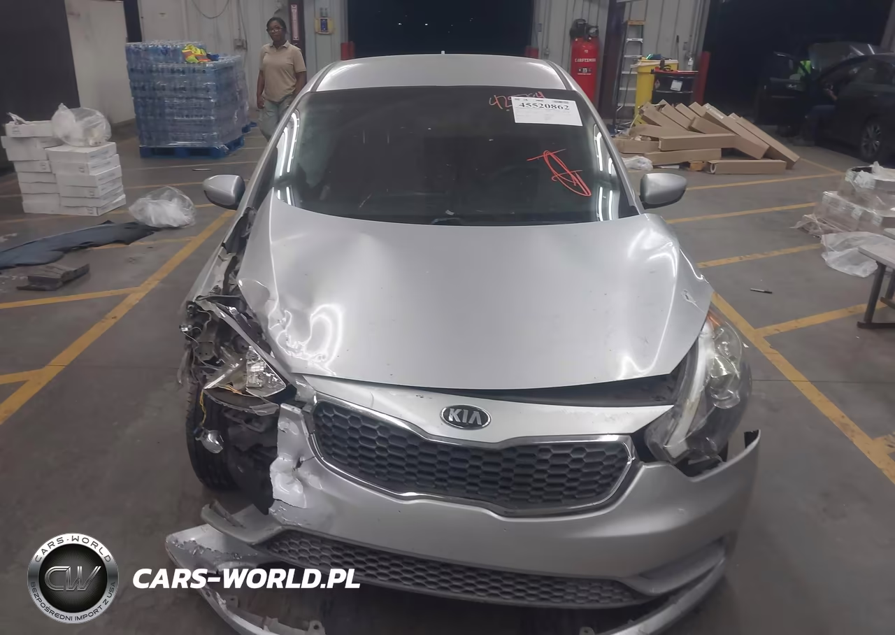 2015 Kia Forte Lx VIN:KNAFK4A65F5425785 - 11