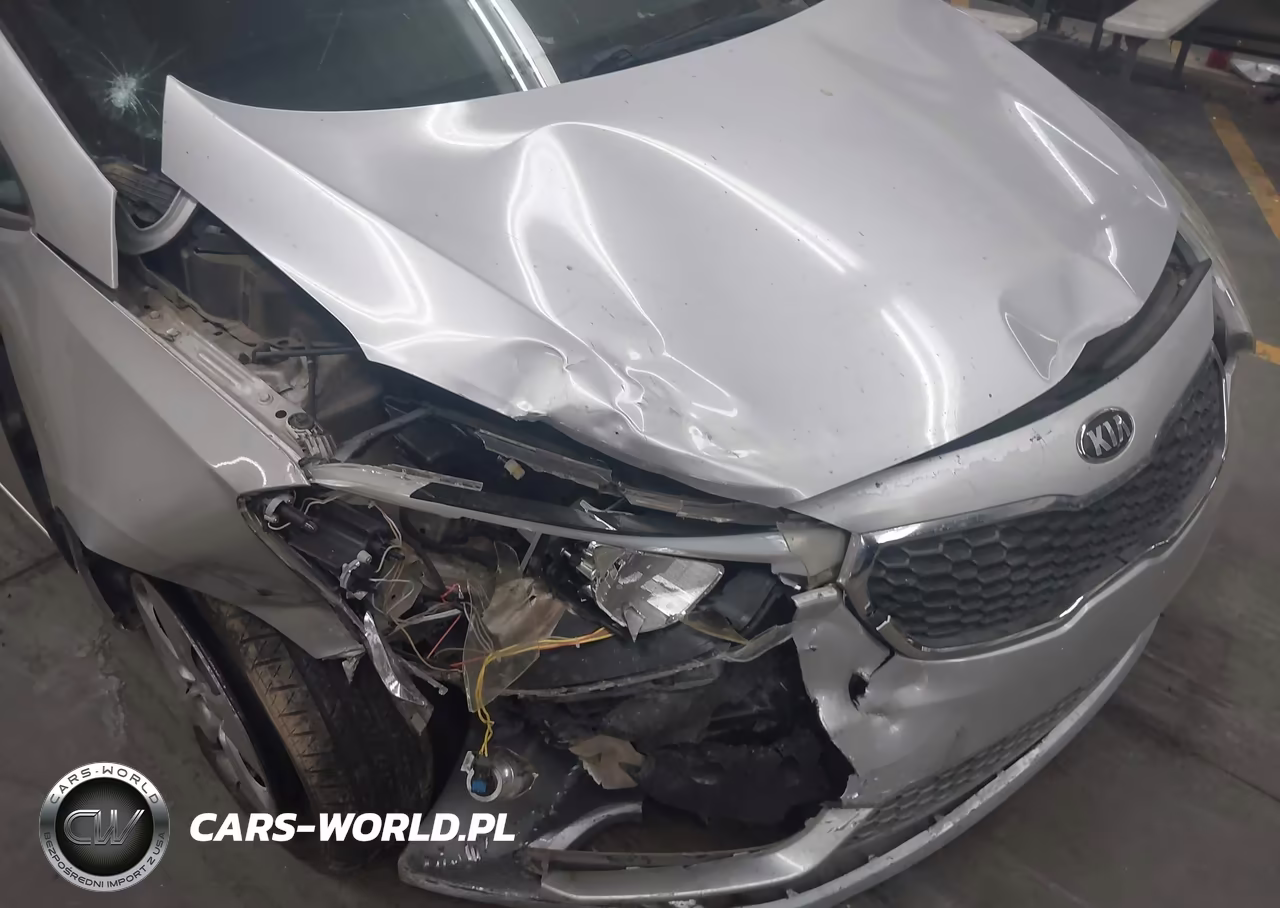 2015 Kia Forte Lx VIN:KNAFK4A65F5425785 - 6