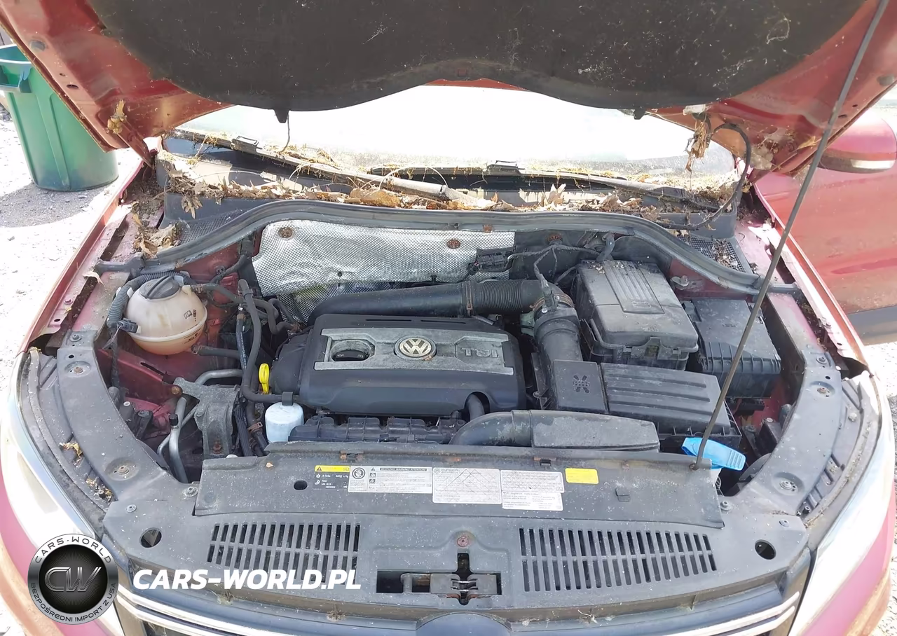 2014 Volkswagen Tiguan S VIN:WVGBV3AX4EW027452 - 10