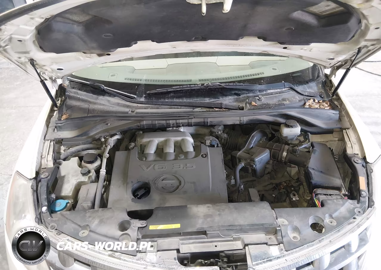 2005 Nissan Murano Sl VIN:JN8AZ08W05W431773 - 10