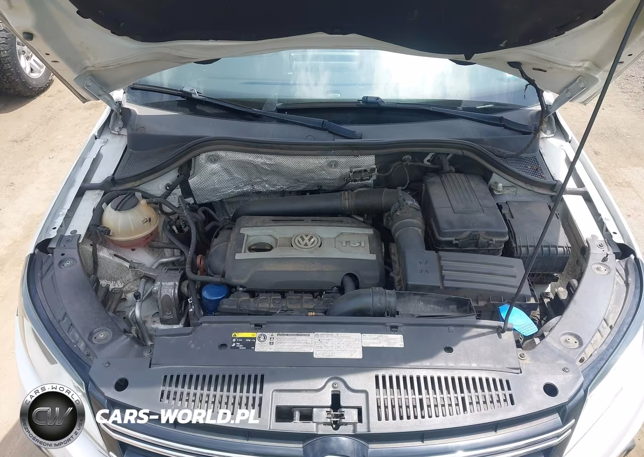 2013 Volkswagen Tiguan Se VIN:WVGAV3AX7DW563015 - 10