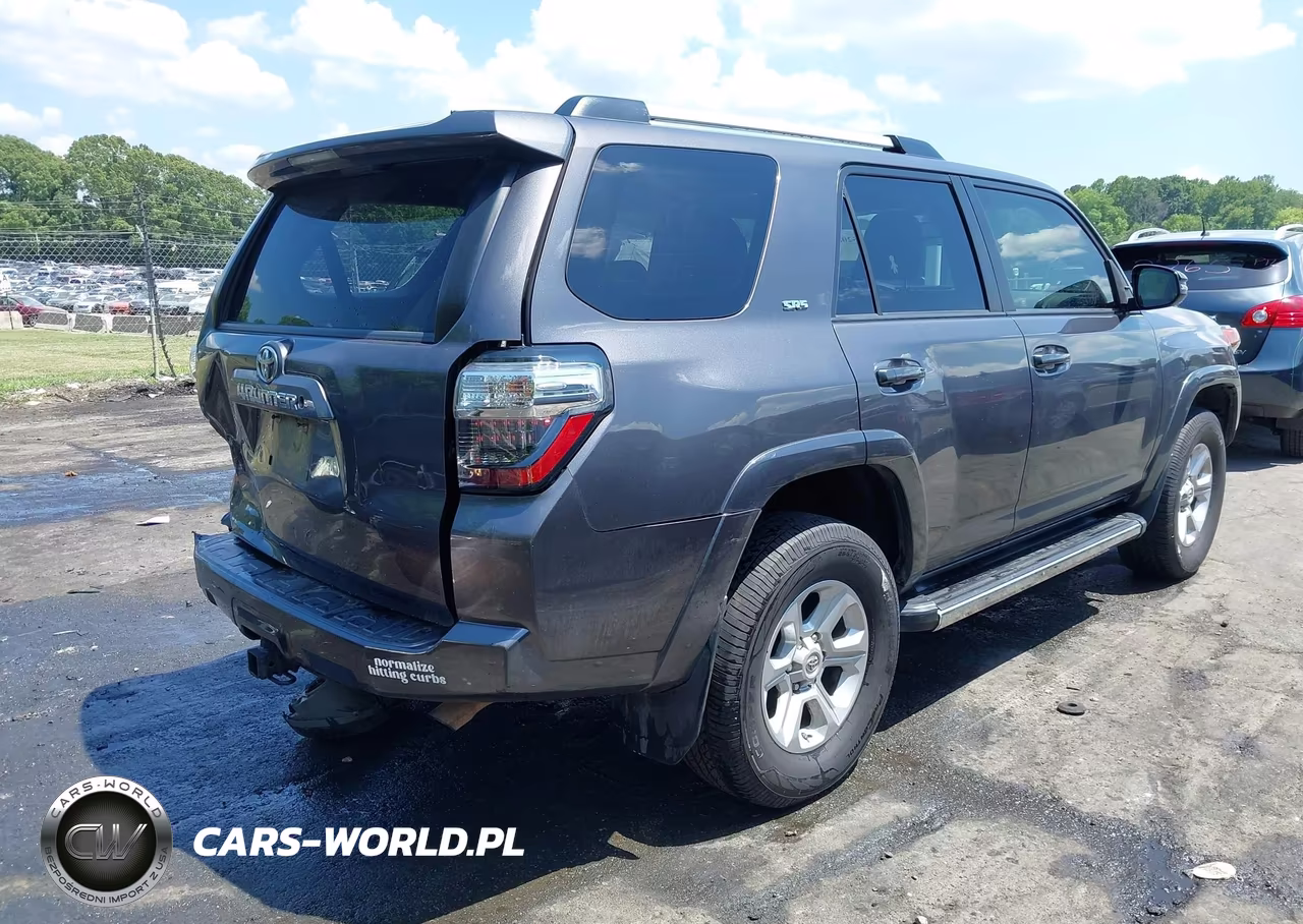 2019 Toyota 4Runner Sr5 Premium VIN:JTEBU5JR0K5659575 - 4