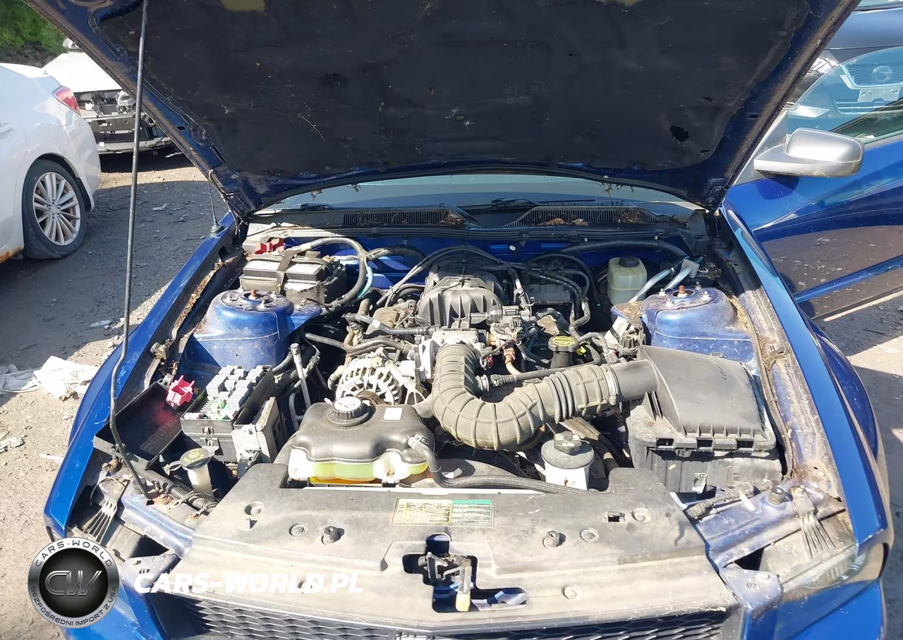 2006 Ford Mustang V6 VIN:1ZVFT80N165161641 - 10