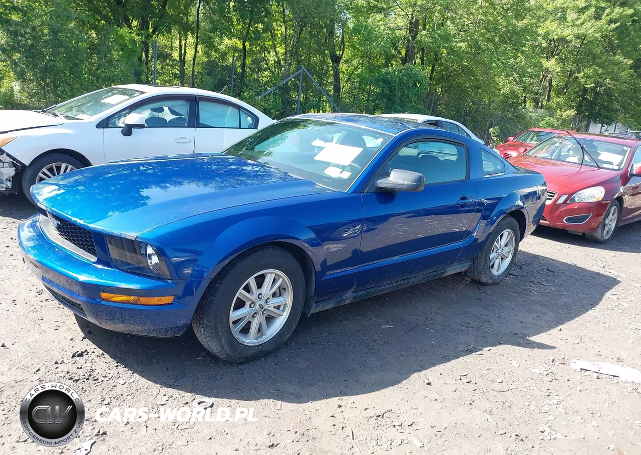 2006 Ford Mustang V6 VIN:1ZVFT80N165161641 - 2