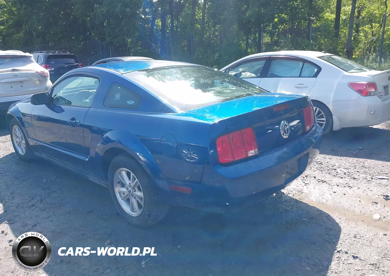 2006 Ford Mustang V6 VIN:1ZVFT80N165161641 - 3