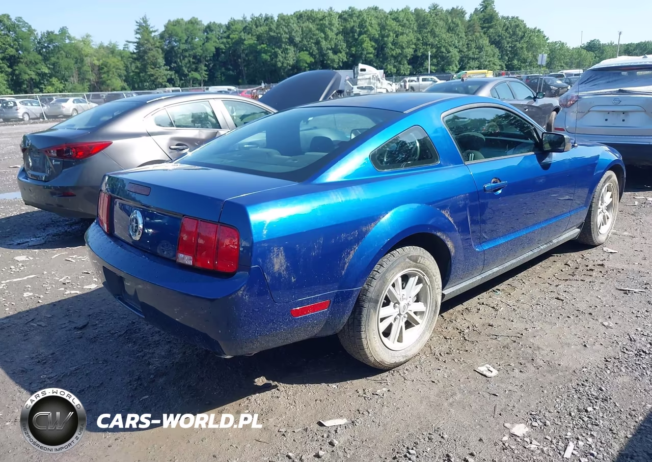 2006 Ford Mustang V6 VIN:1ZVFT80N165161641 - 4
