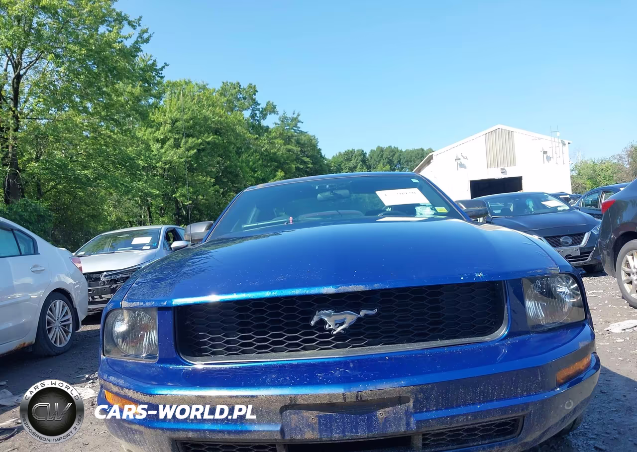 2006 Ford Mustang V6 VIN:1ZVFT80N165161641 - 6
