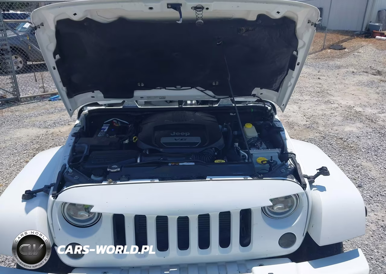 2014 Jeep Wrangler Unlimited Sahara VIN:1C4HJWEG2EL123801 - 10