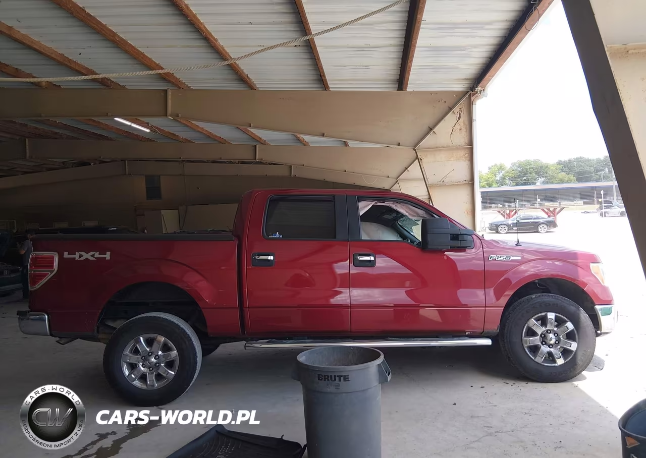 2013 Ford F-150 Xlt VIN:1FTFW1EF4DFD70219 - 13