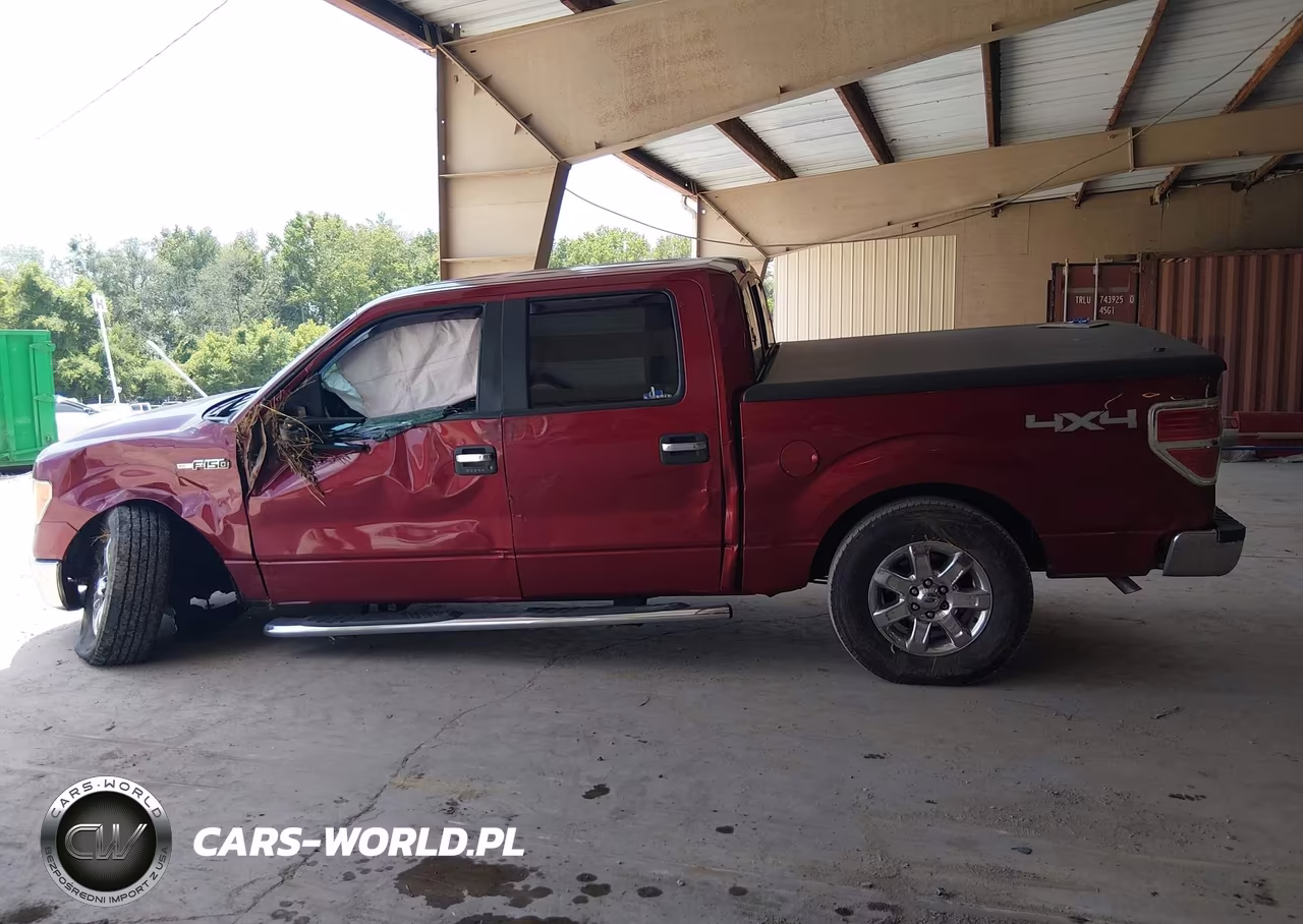2013 Ford F-150 Xlt VIN:1FTFW1EF4DFD70219 - 14