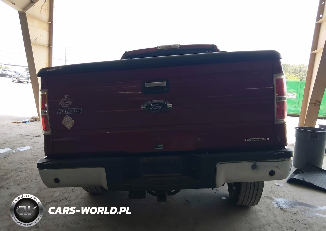 2013 Ford F-150 Xlt VIN:1FTFW1EF4DFD70219 - 16