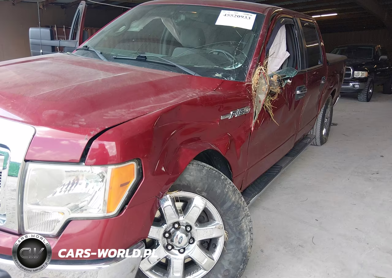2013 Ford F-150 Xlt VIN:1FTFW1EF4DFD70219 - 6