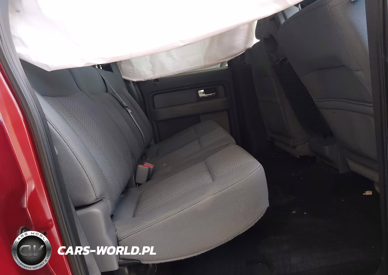 2013 Ford F-150 Xlt VIN:1FTFW1EF4DFD70219 - 8