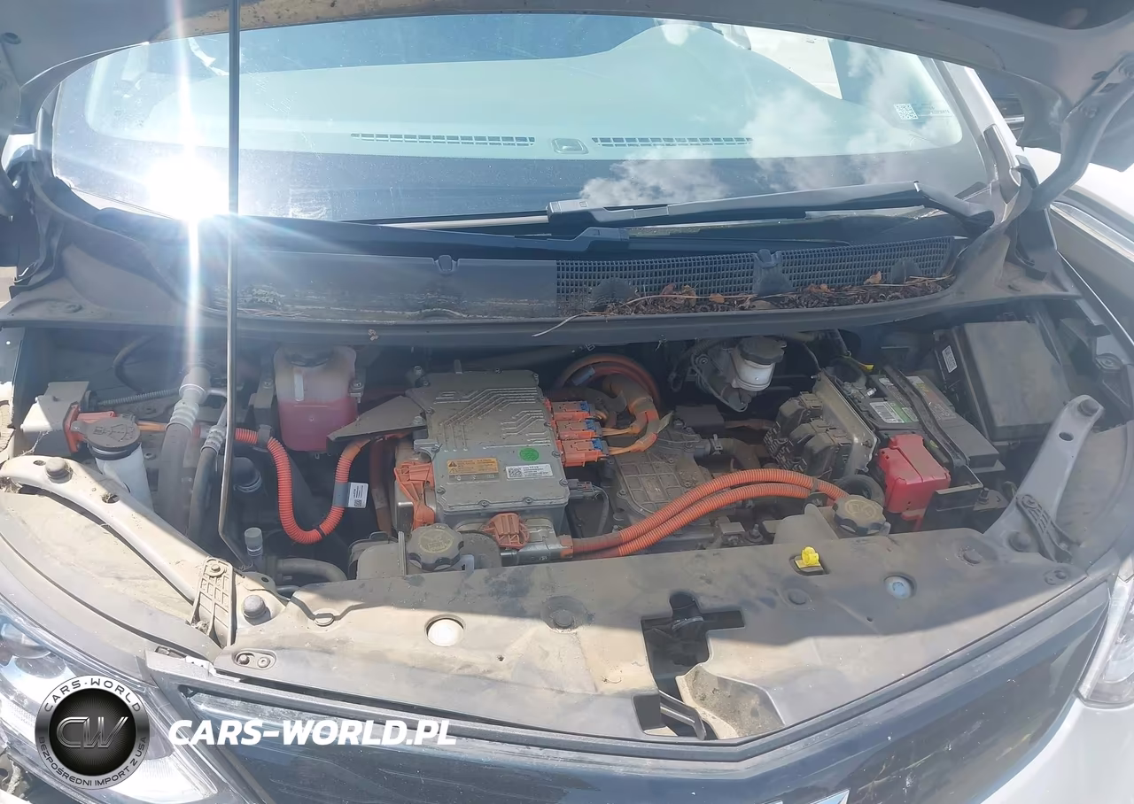 2019 Chevrolet Bolt Ev Premier VIN:1G1FZ6S07K4118504 - 10