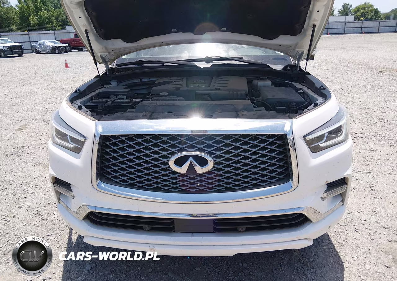 2019 Infiniti Qx80 Luxe VIN:JN8AZ2NF5K9687420 - 10