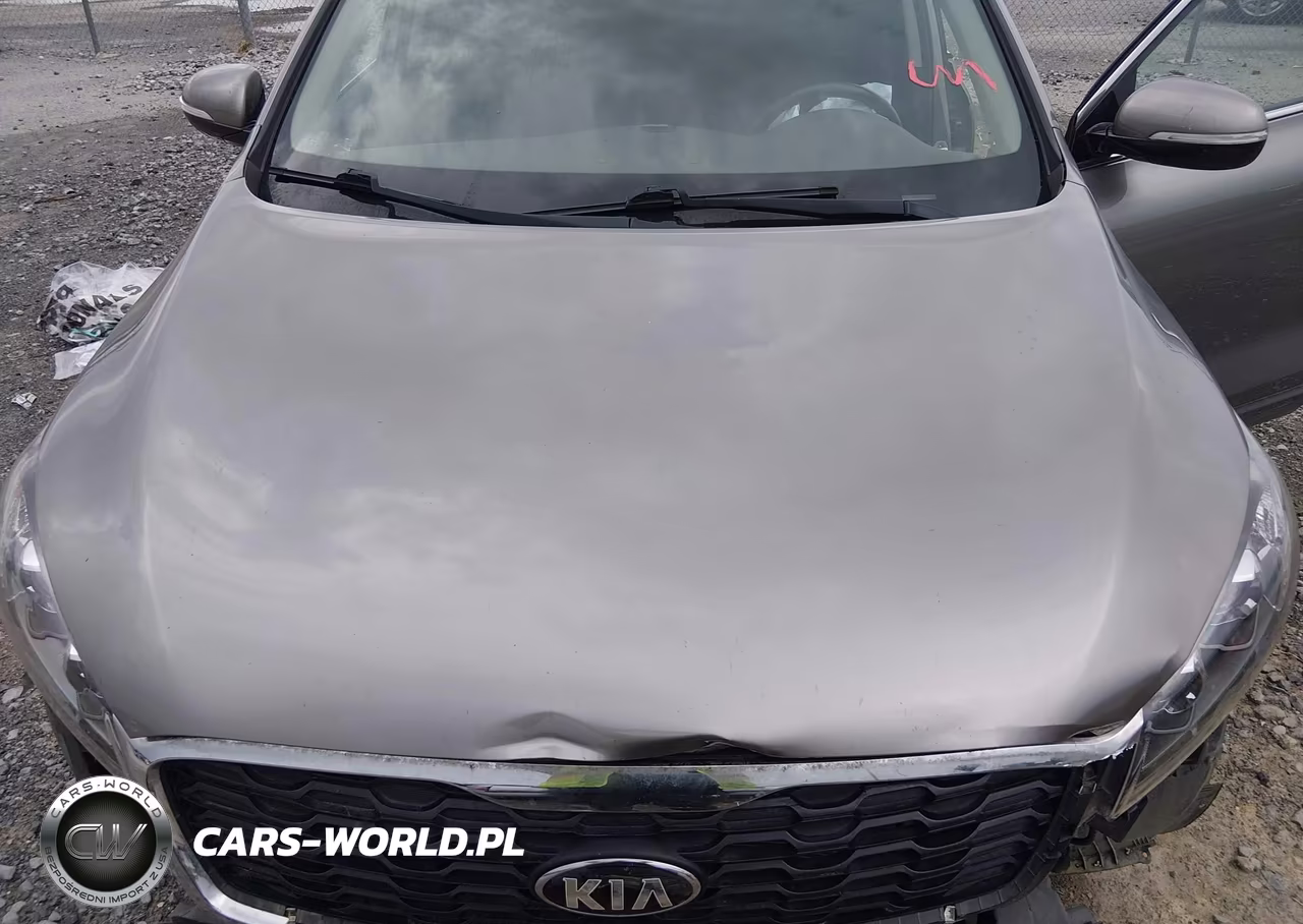 2019 Kia Sorento 2.4L Lx VIN:5XYPG4A30KG556462 - 10