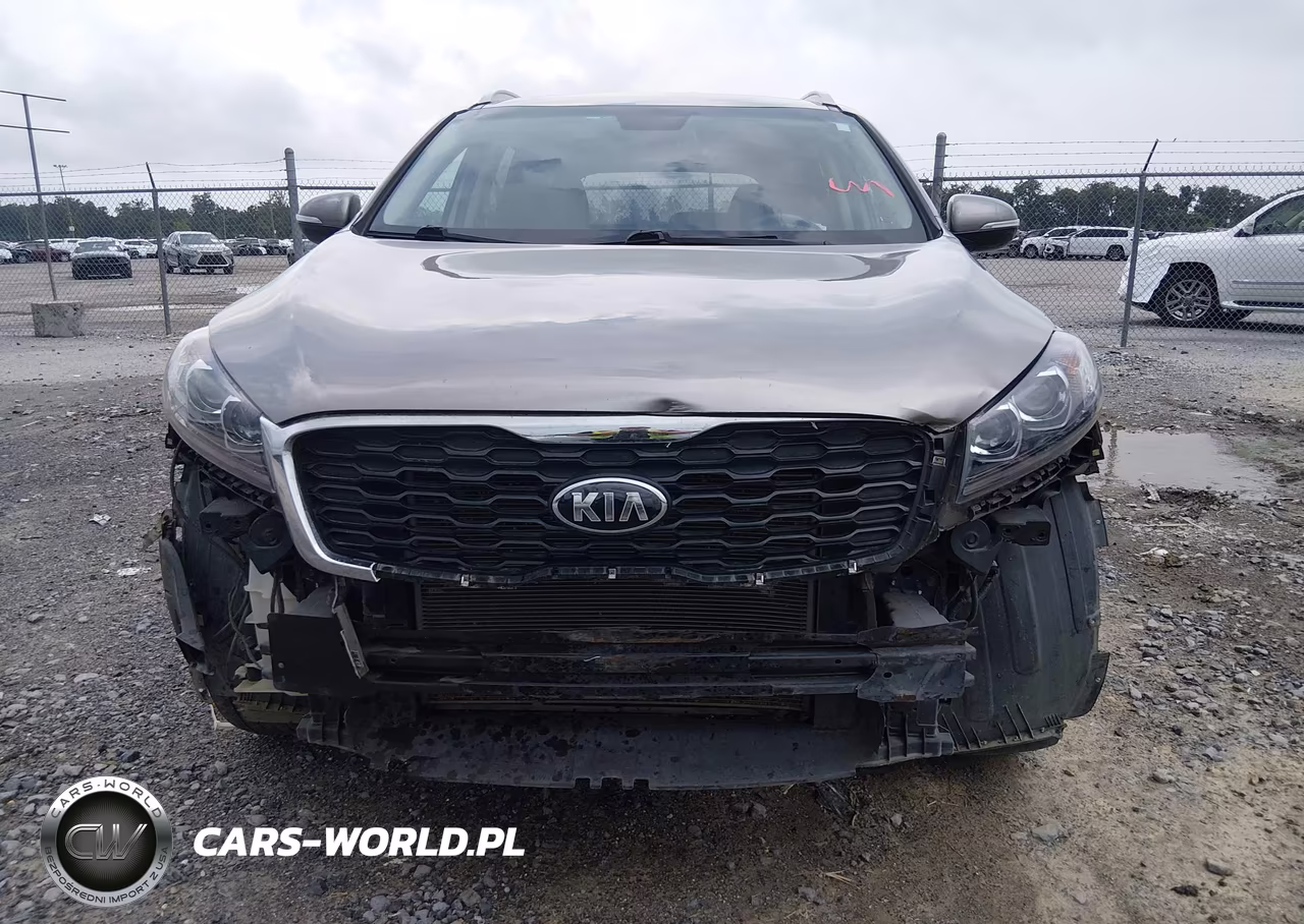 2019 Kia Sorento 2.4L Lx VIN:5XYPG4A30KG556462 - 13