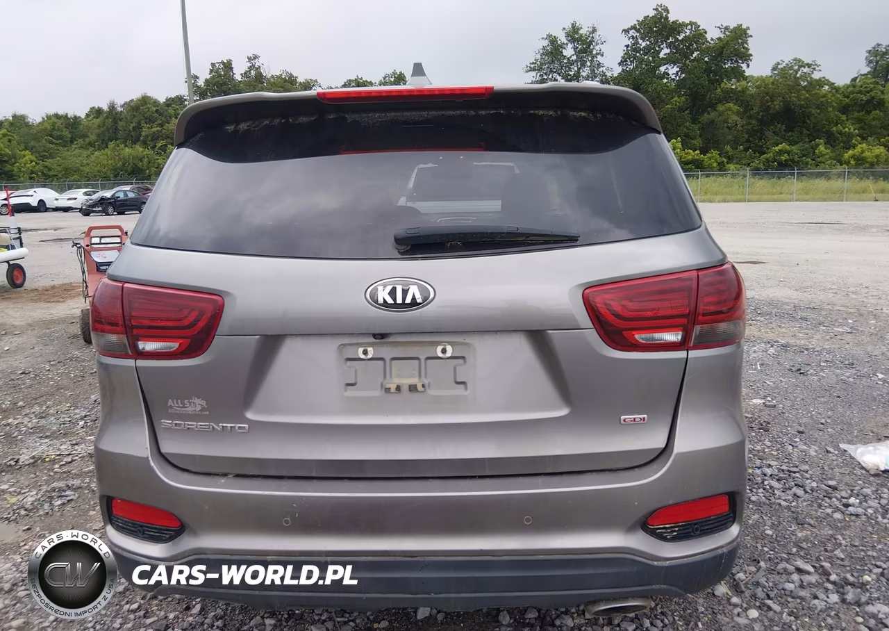 2019 Kia Sorento 2.4L Lx VIN:5XYPG4A30KG556462 - 17